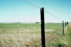 stocklock, ringlock, fencing, rural fencing