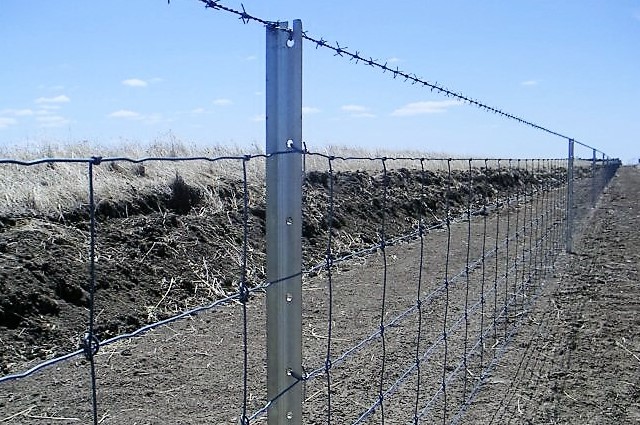 boundary fence, ag fencing