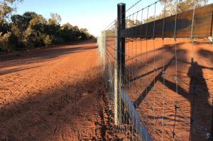 exclusion fence, outback