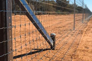 dogfencing