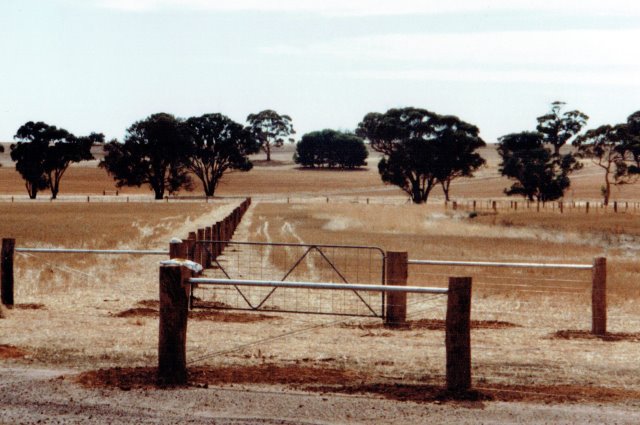 erosion control, fencing