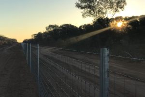 Sunset on the fence line