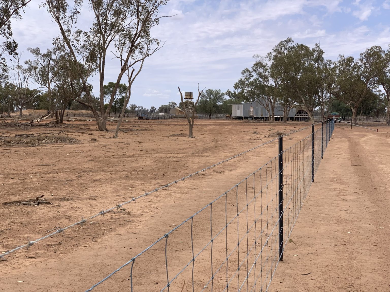 Livestock & Boundary Archives - JTL Rural Fencing